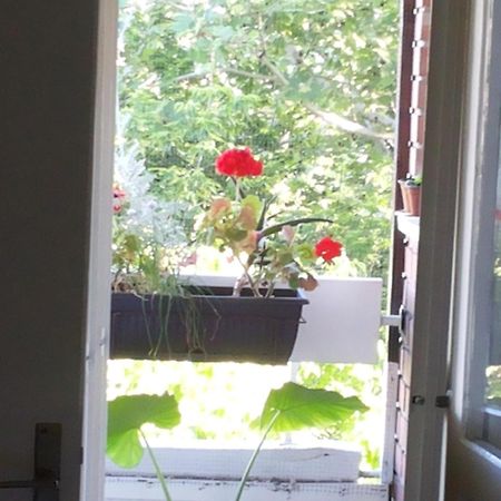 B&B Girasole Novi Sad Phòng bức ảnh